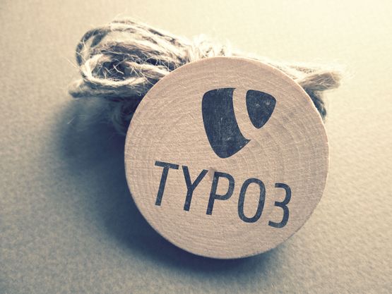 Logo TYPO3 CMS sur bois